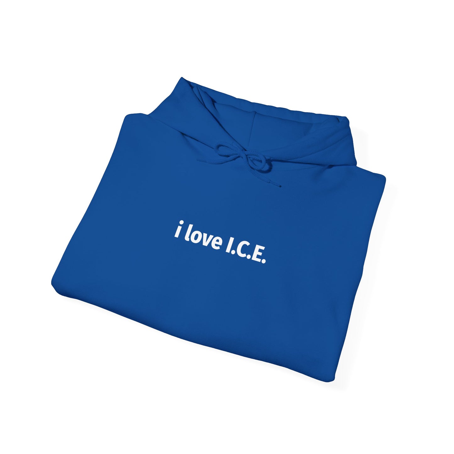 i love I.C.E. Hooded Sweatshirt